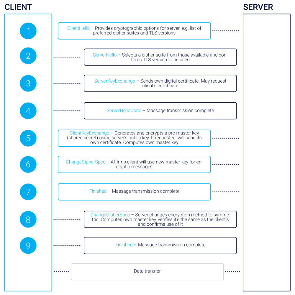 infographic tlc 1