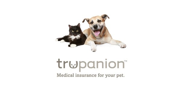 Trupanion makes network monitoring its pet project