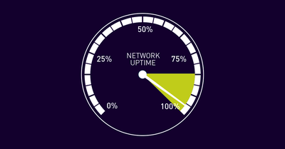 Uptime monitoring | PRTG (Monitoring Topic, network)